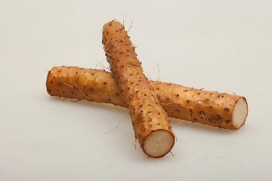 全新宣传片！手绘和风动作游戏《愚灵》正式开放试玩版